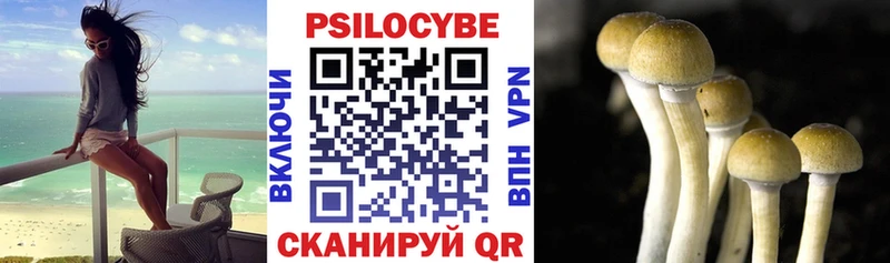 Псилоцибиновые грибы Cubensis  кракен ссылки  Кремёнки 